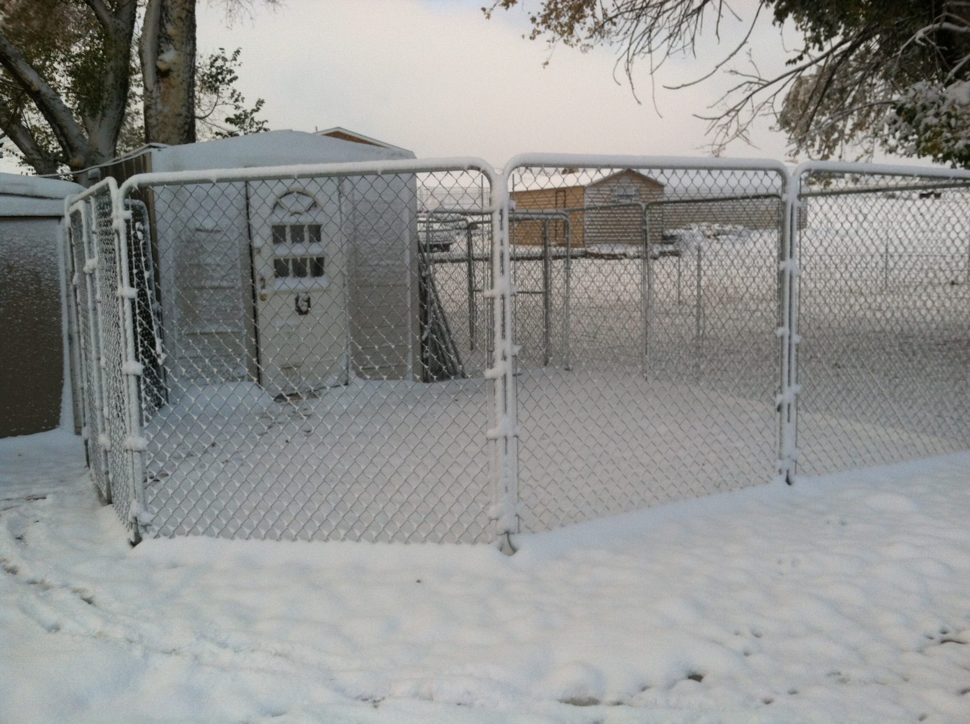 This is our hen house in the snow. 

Our coop is 8ftx8ft. It was converted from an old tool shed into this glorious chicken coop. To the interior we added 12 nesting boxes, electrical heat lamp and multiple roosts. On the exterior, we installed a new door we picked up on craigslist.org for $5. The doggie door we got at home depot and the chickens love it!