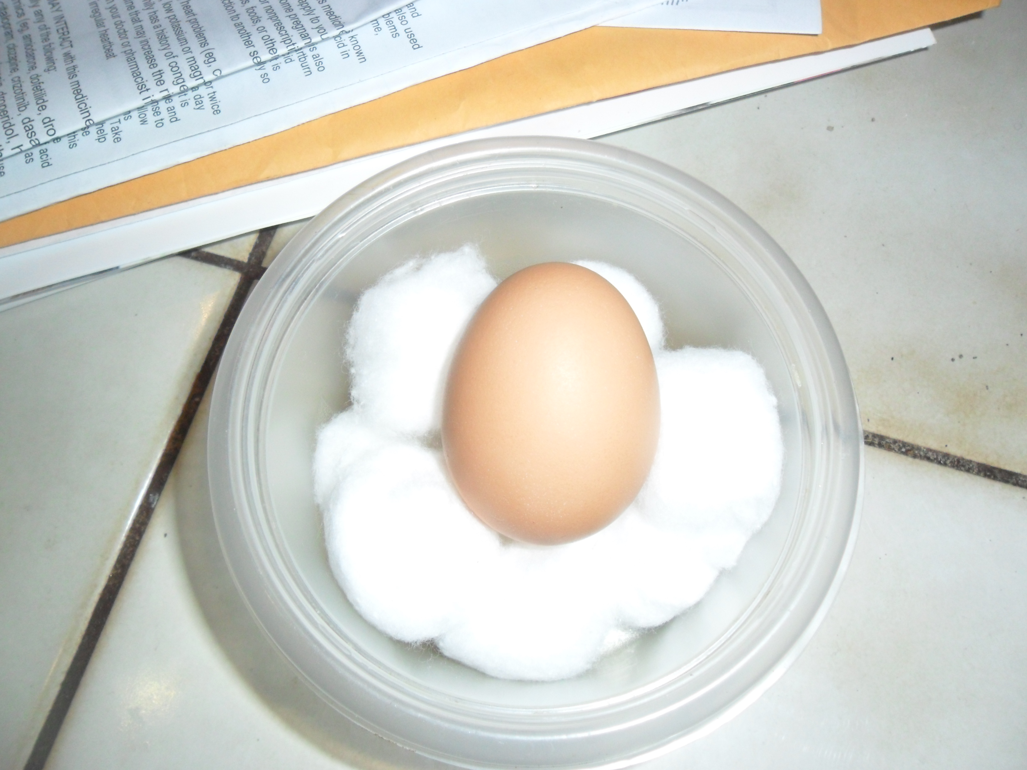 This is our very first egg!  We were so excited ..... we finally did something right! lol