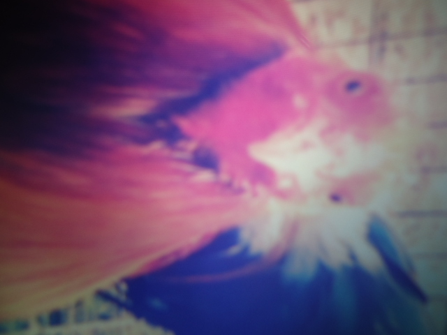 This is Phil.