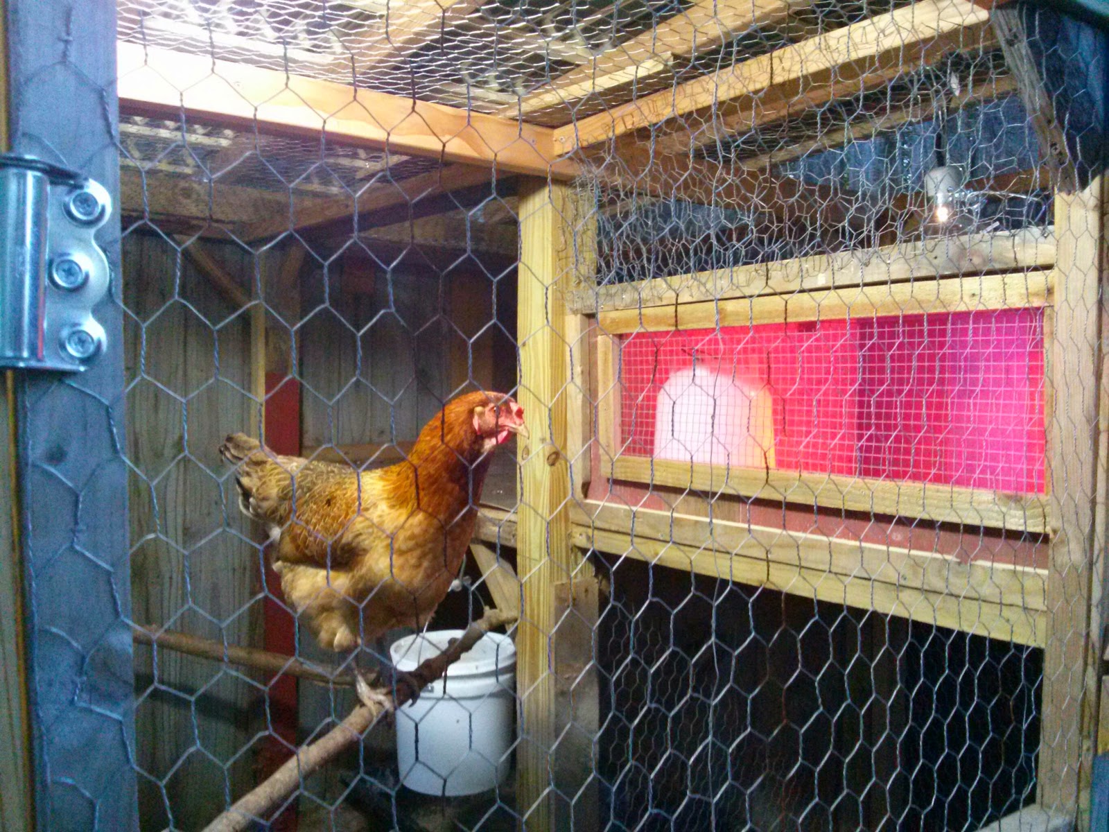 This is Poppy inspecting the work