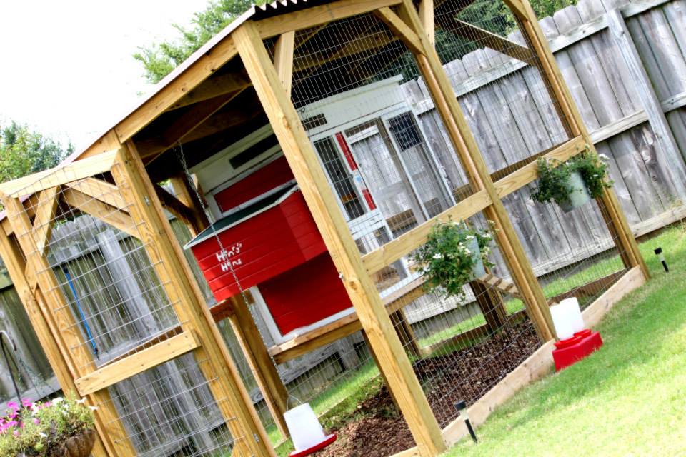 *
This is sort of a sideways shot of the coop and run. In this one we had added ventilation to the top by raising the roof and adding vents. We still need more room though.