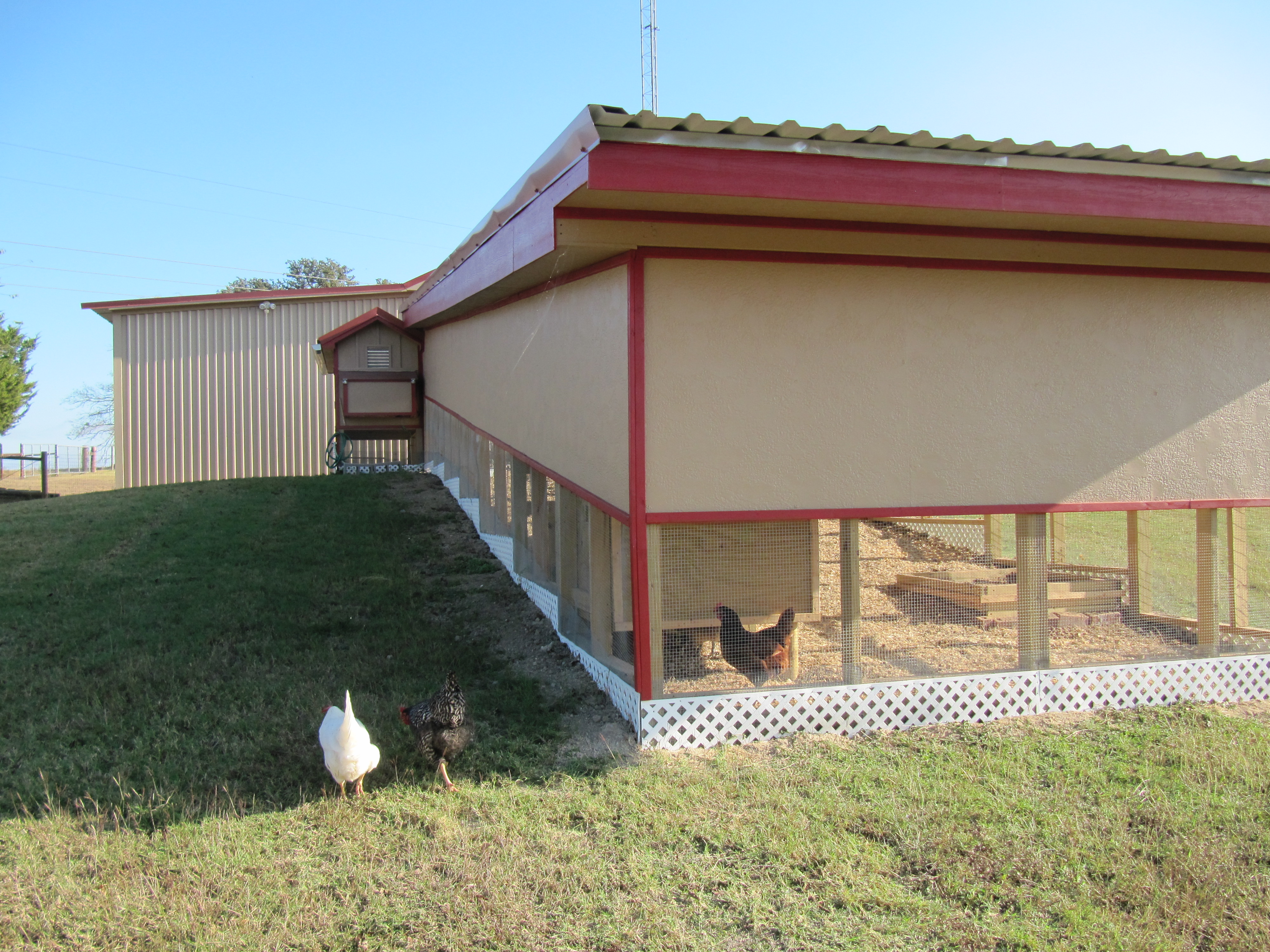 this is the back sede of the big run, we partially covered it with a wall so it can be protected from the north winds in the winter and they get shade in the afternoons.