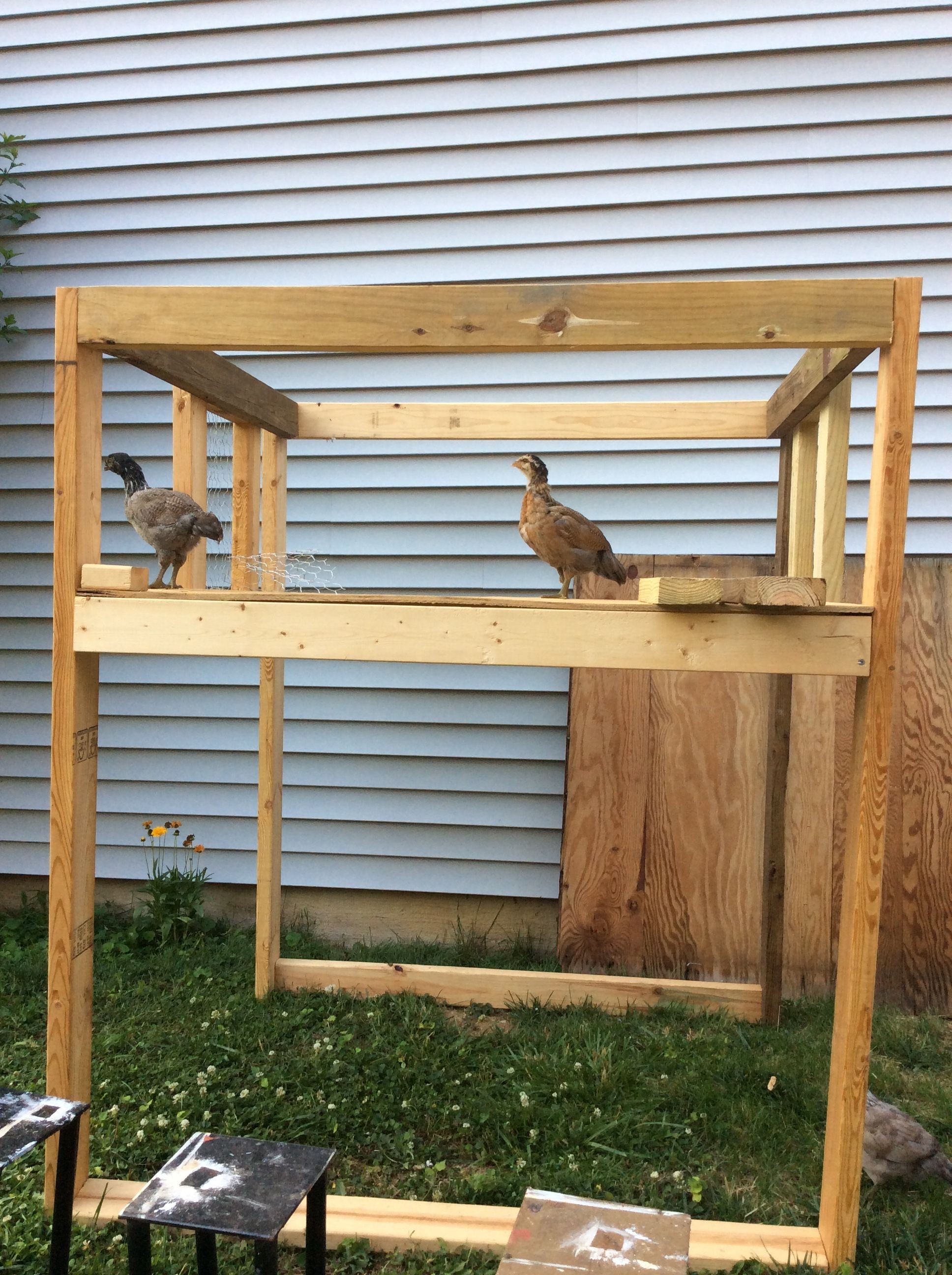 This is the bare bones of the hens crib. Oddly enough, I think they knew it was theirs, and moved in right away. 

The frame is 4ft X 4ft. I knew I wanted a nesting area, and I didn't want to bend down to retrieve the eggs, so I made it into a loft. I also knew I wanted to be able to close the loft up during the cold months. The nesting area takes up only half of the loft, so I can install a trapdoor that will seal off the rest of the area.
