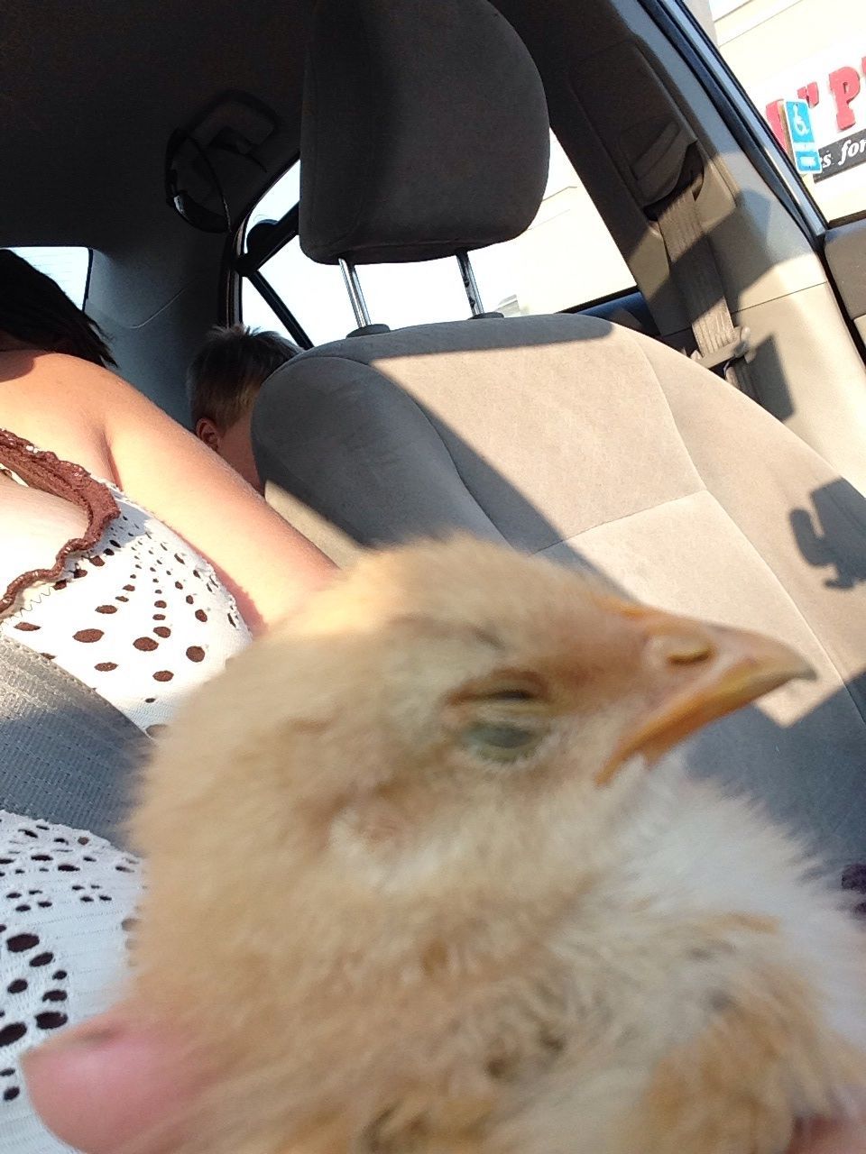 This is the chick that I'm referring to in my only thread!! What is he/she?!