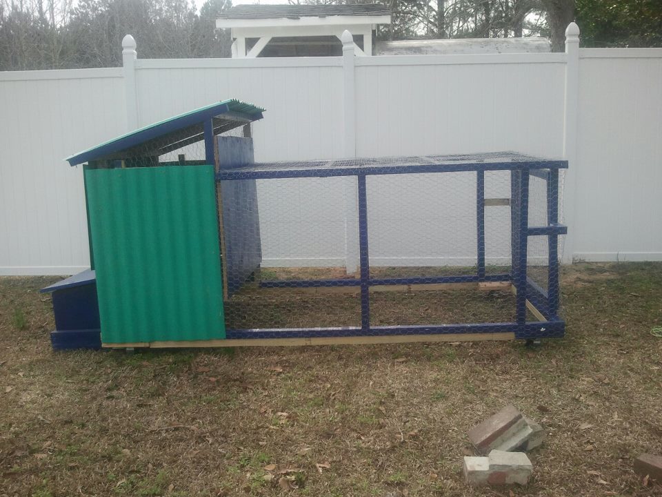 This is the chicken tractor my son built for our first set of laying hens.