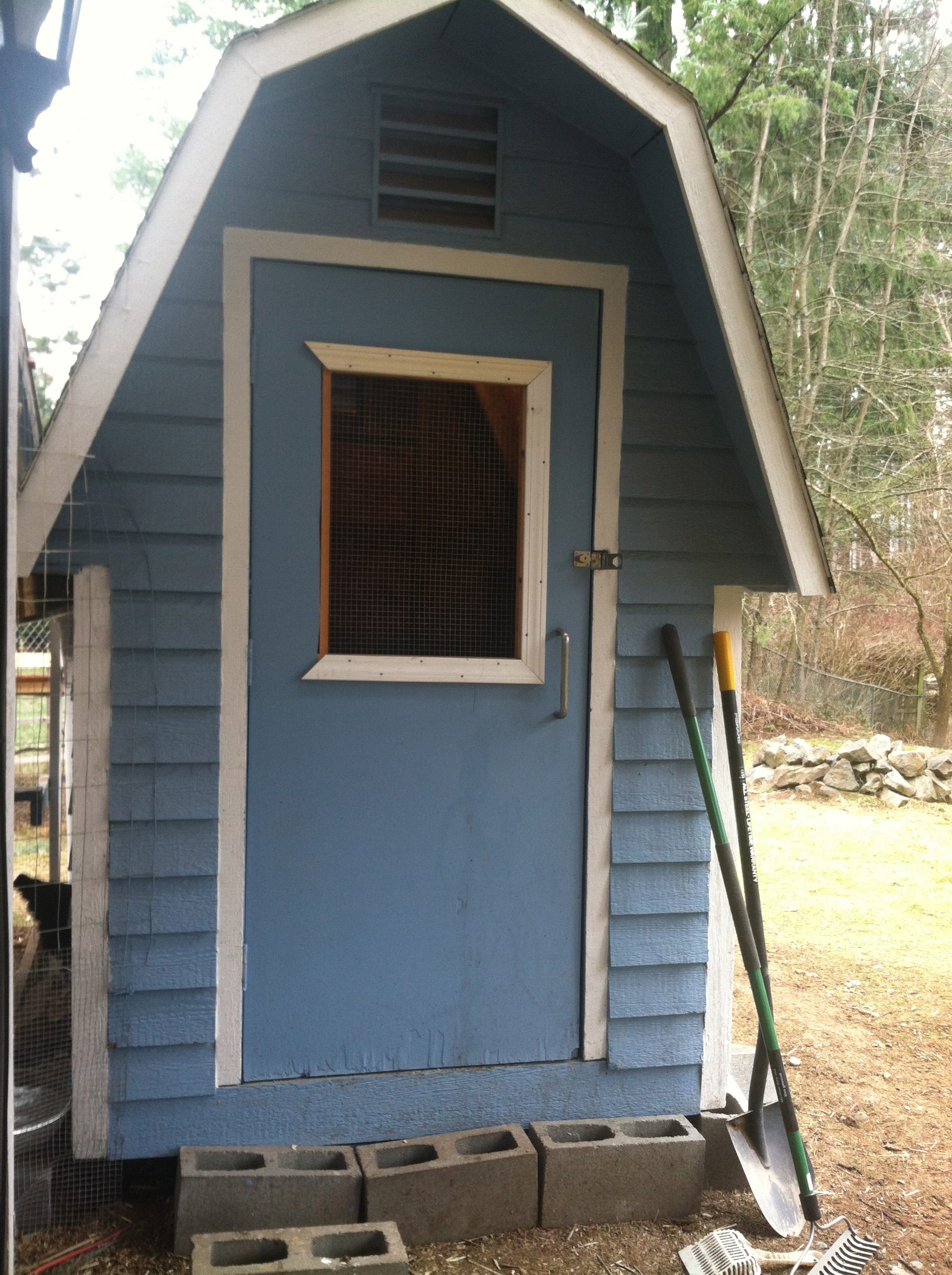 This is the coop, it's a 5x7' shed with ventilation front and back under the eaves, 2 pop doors (one on either side of the coop), and a man size door for cleanout. There are 2 nest boxes on the back of the coop for easy egg access and 2 7'long roosts in the coop.