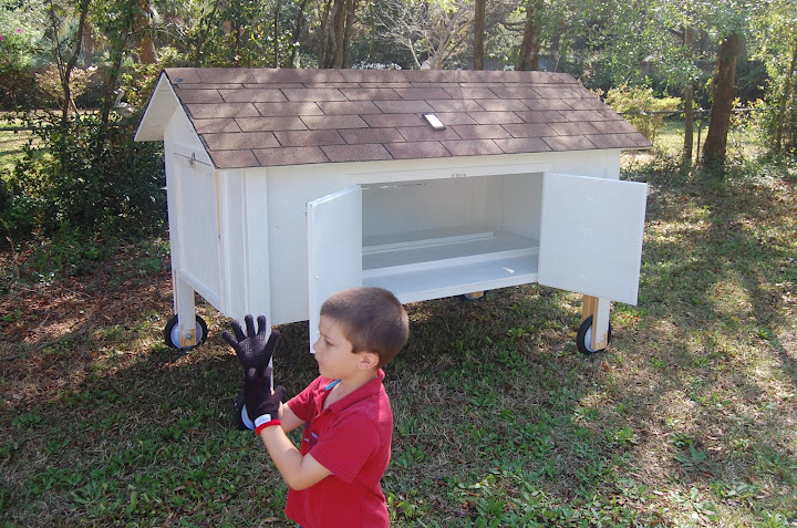 This is the coop.  My son is wearing gloves because Mario wears gloves. . . Can't beat that logic.
