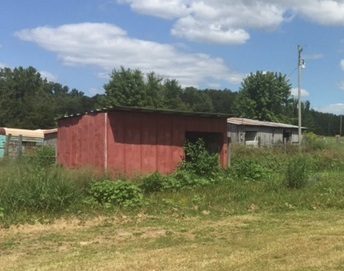 This is the coop prior to construction. My dad had built it 22 years prior and had used it for storage, horses and last a dog pen. Basic 8'x16" building, with a dirt floor. The metal on the roof going sideways, not sure why. The chain link fencing was falling down and removed. Was full of weeds when I bought the place.