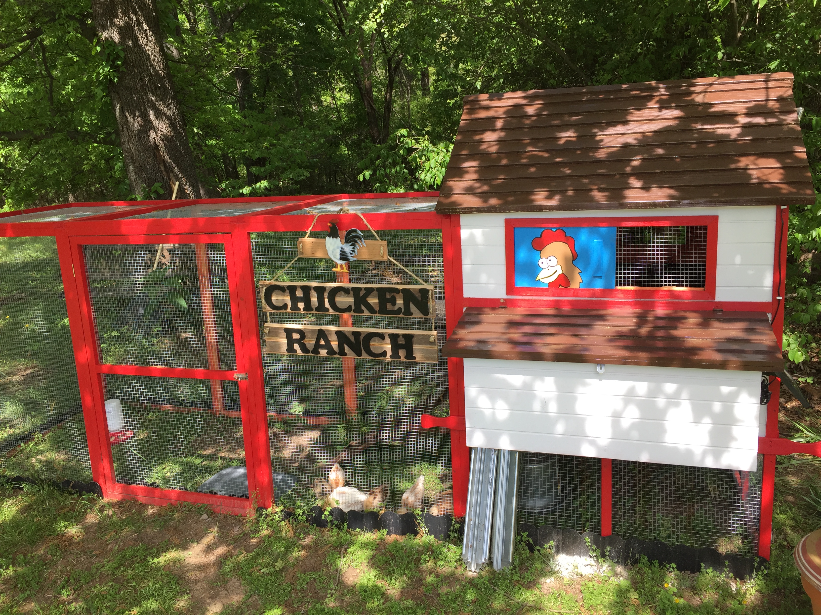This is the coop that I built for my Chicken Ranch
