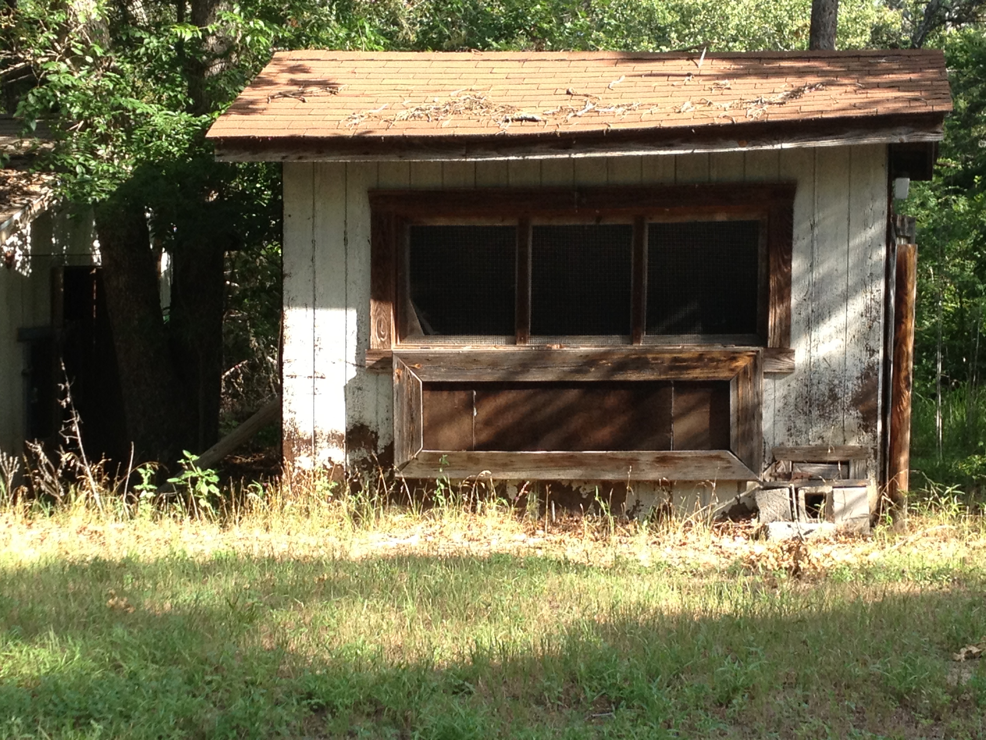 This is the dilapidated chicken house as we found it when we moved in. There appears to be room for at least eight nests inside, but we still need to do a lot of cleanup inside and out on this structure.