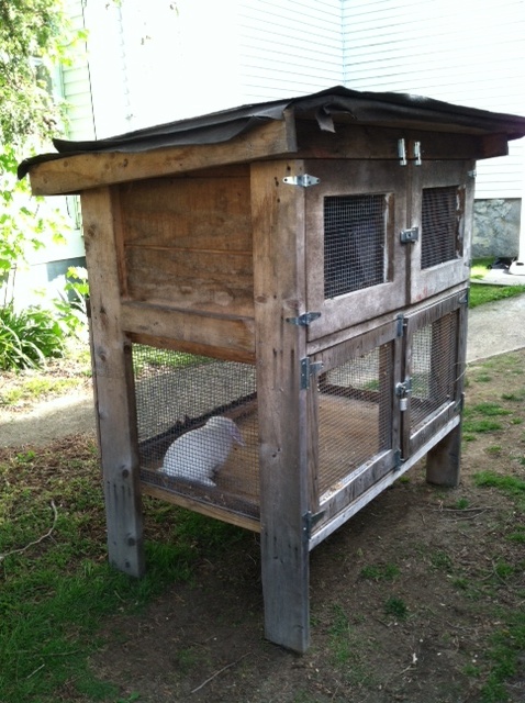 This is the double-decker rabbit cage I acquired (less the bunny)