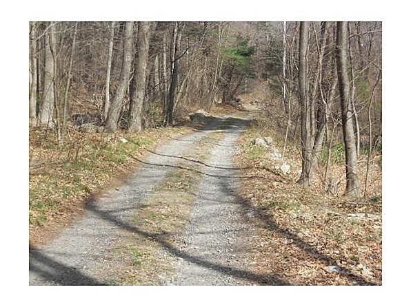 This is the driveway to the house. We are about 600 feet from the road.