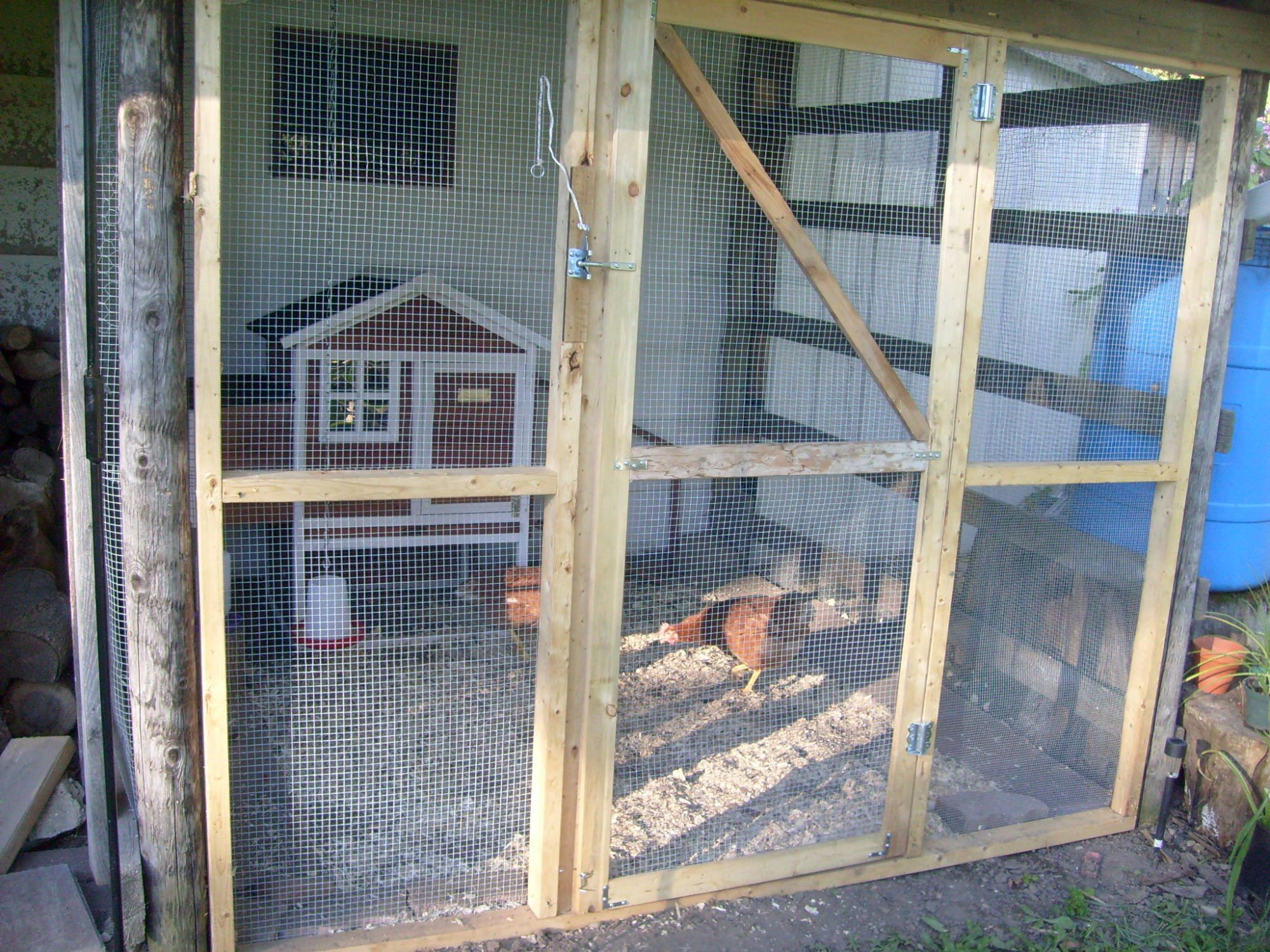 This is the enclosure that I made by stapling1/2" hardware cloth on 3 sides. I buried 1/4" hardware cloth around the bottom about 10", then added small patio stones to make sure the chickens didn't dig too close to the buried screen.  The front was framed by my handy spouse, and I actually made the door. The ceiling is just the 1" chicken wire to keep out the cats. So far it's been safe and sound. The small coop is ok for 3 seasons, but not insulated or warm enough for the very cold winter.