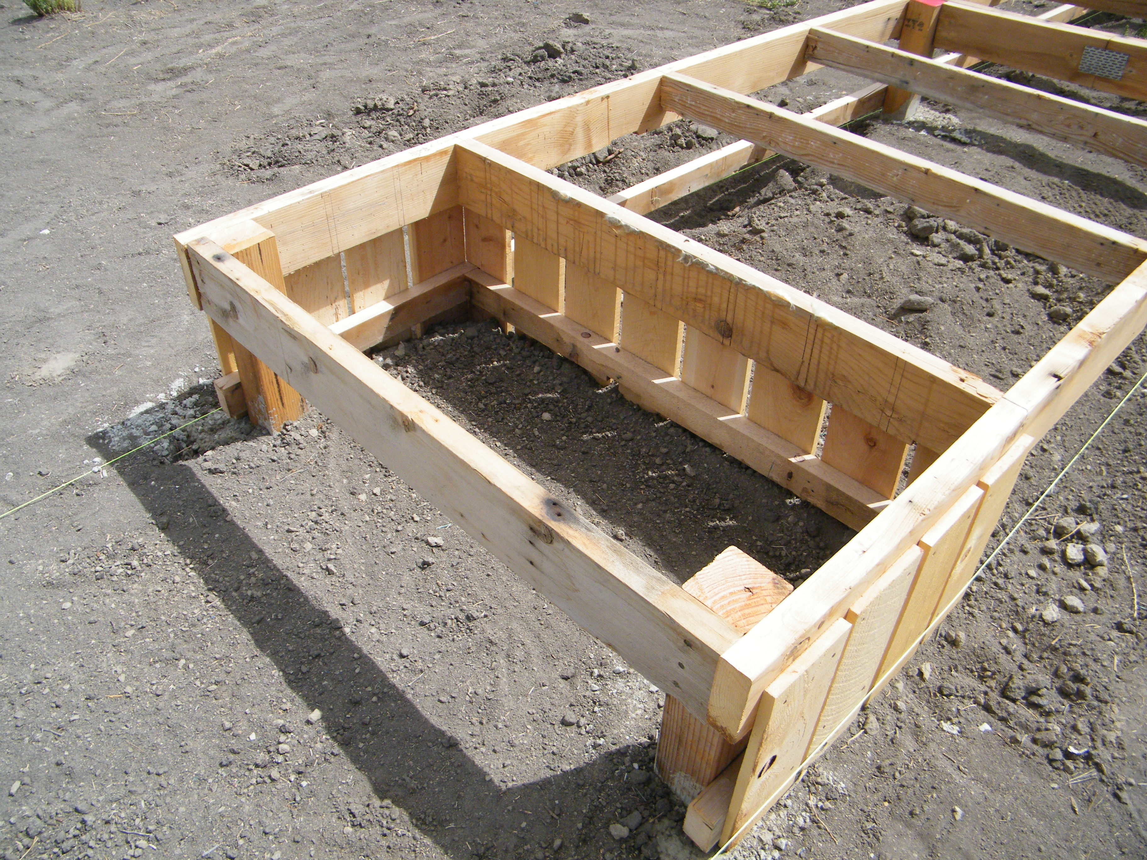 This is the fenced section underneath the coop for the spare rooster at that end to have a nice shady spot to relax in during the summer heat.