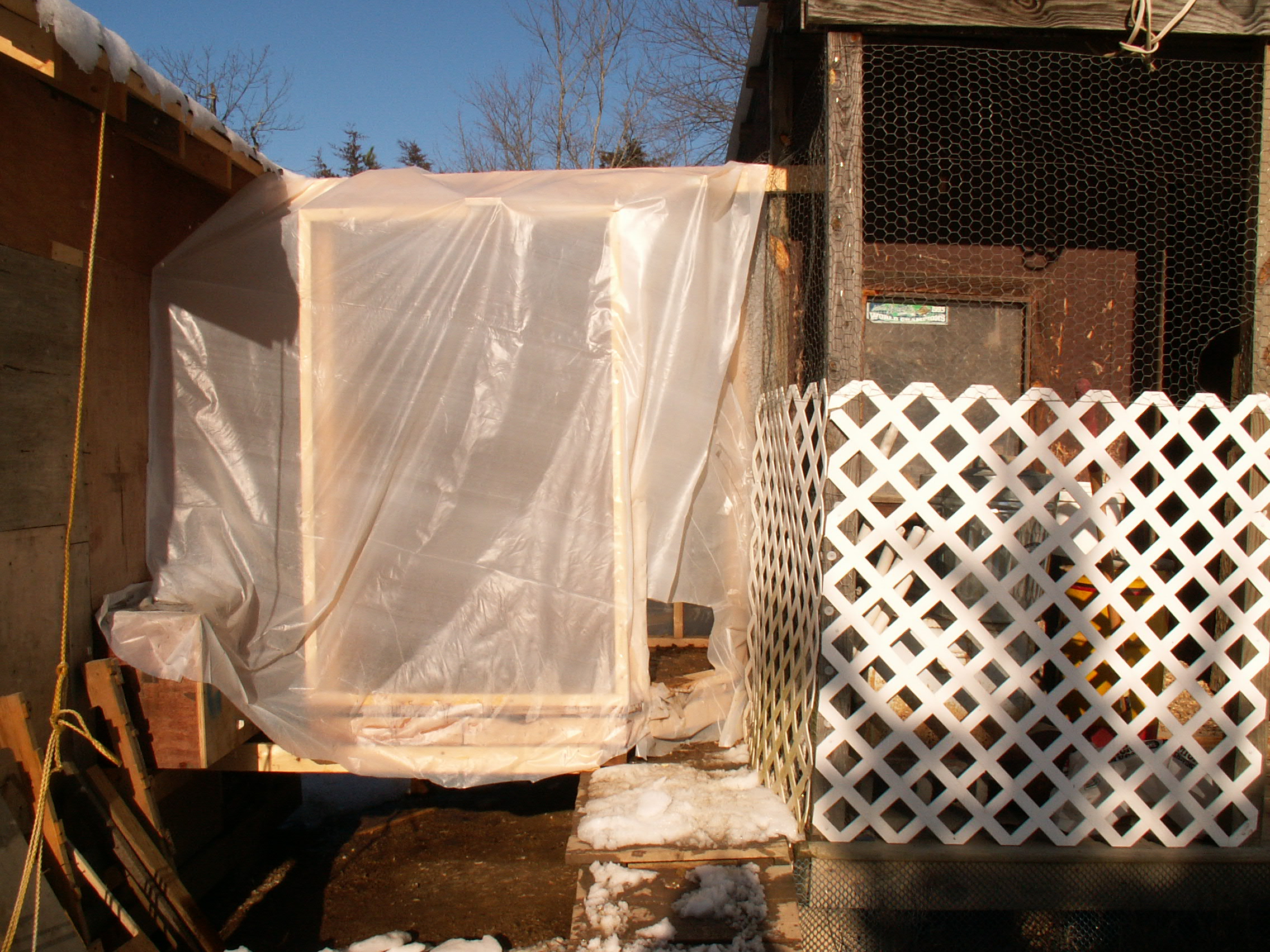 This is the front side.See how the natural sun light comes in for heat.Poop door is at bottom right.I will put a window in as on the back side