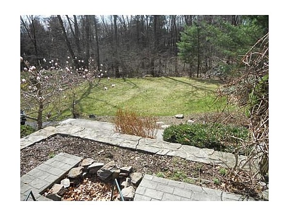 This is the front yard. A good sized space, sloping to the driveway.