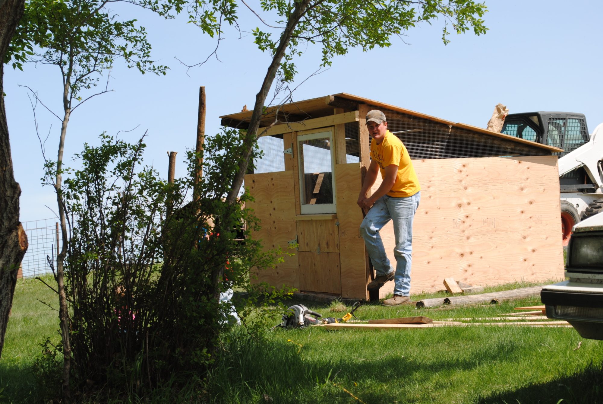 This is the hubby putting on one of the last pieces of plywood on the coop. We have hardware cloth covering the openings on the top of the coop and we later cut out more plywood pieces to fit the openings to close the coop up with hinges and latches when it gets cooler.