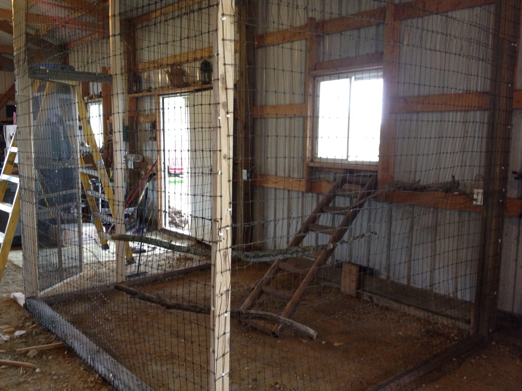 This is the inside coop where our roosters are roosting.