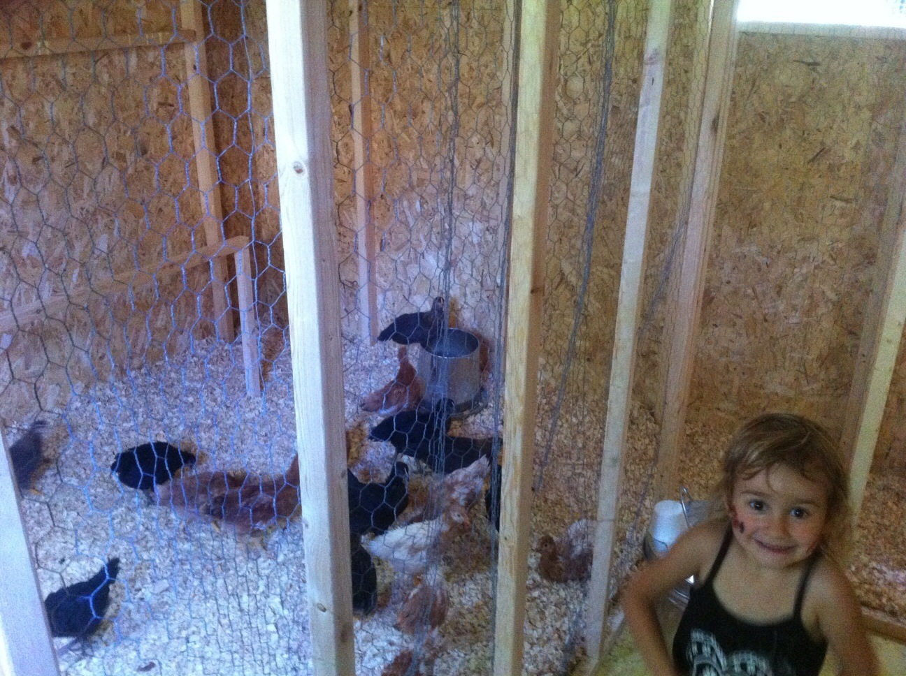 This is the inside of my chicken coop with my proud daughter.