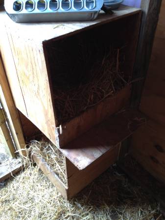 This is the original nest boxes, which I removed.