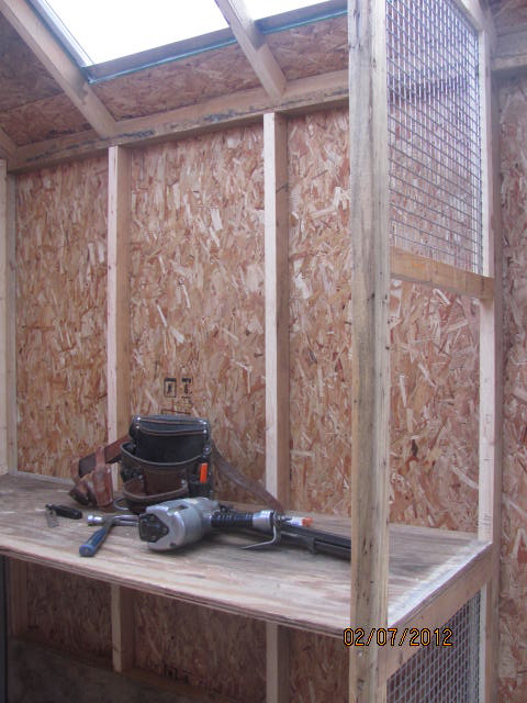 This is the platform area where he will be adding the nest boxes.