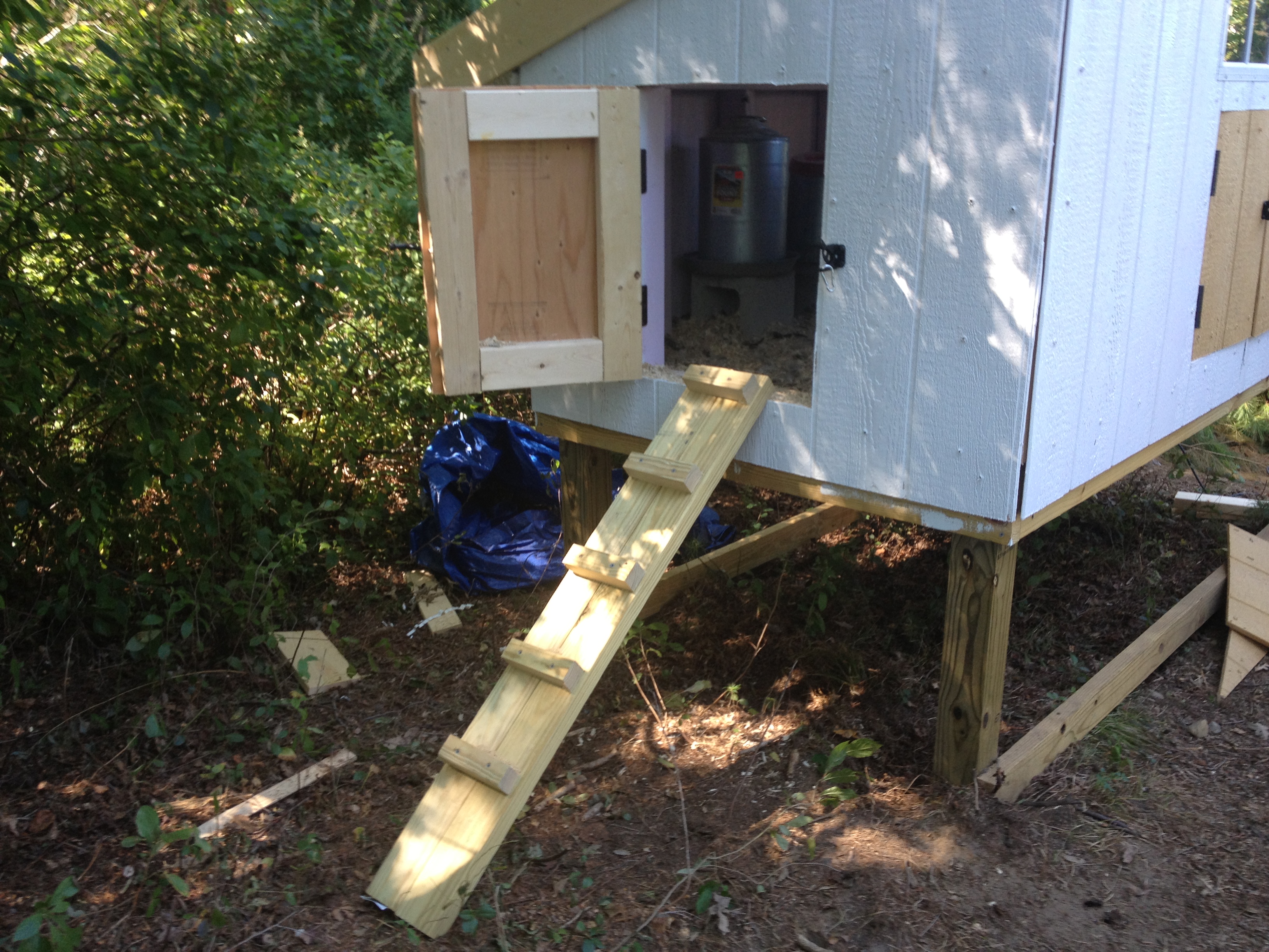 this is the temporary ladder for the newer chicks so they can come and go on their side of the coop.