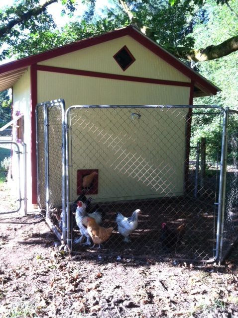This is the temporary run.  I know it's a little small, but it's temporary.