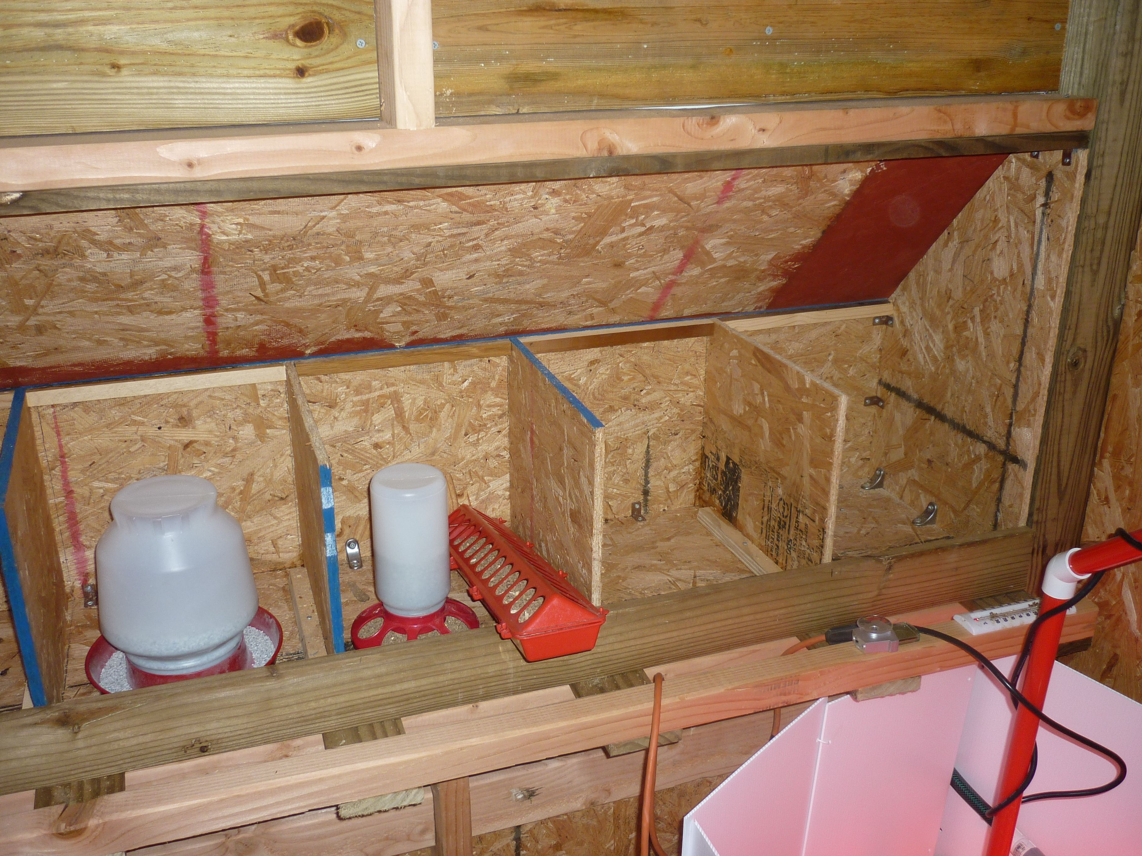 This is the view of the nesting boxes from the inside (there are five nesting boxes).