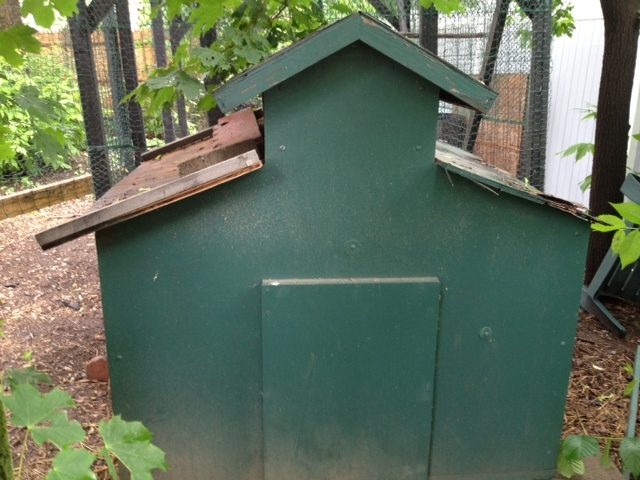 This is the (winter) coop I also acquired for free. This is the before picture.