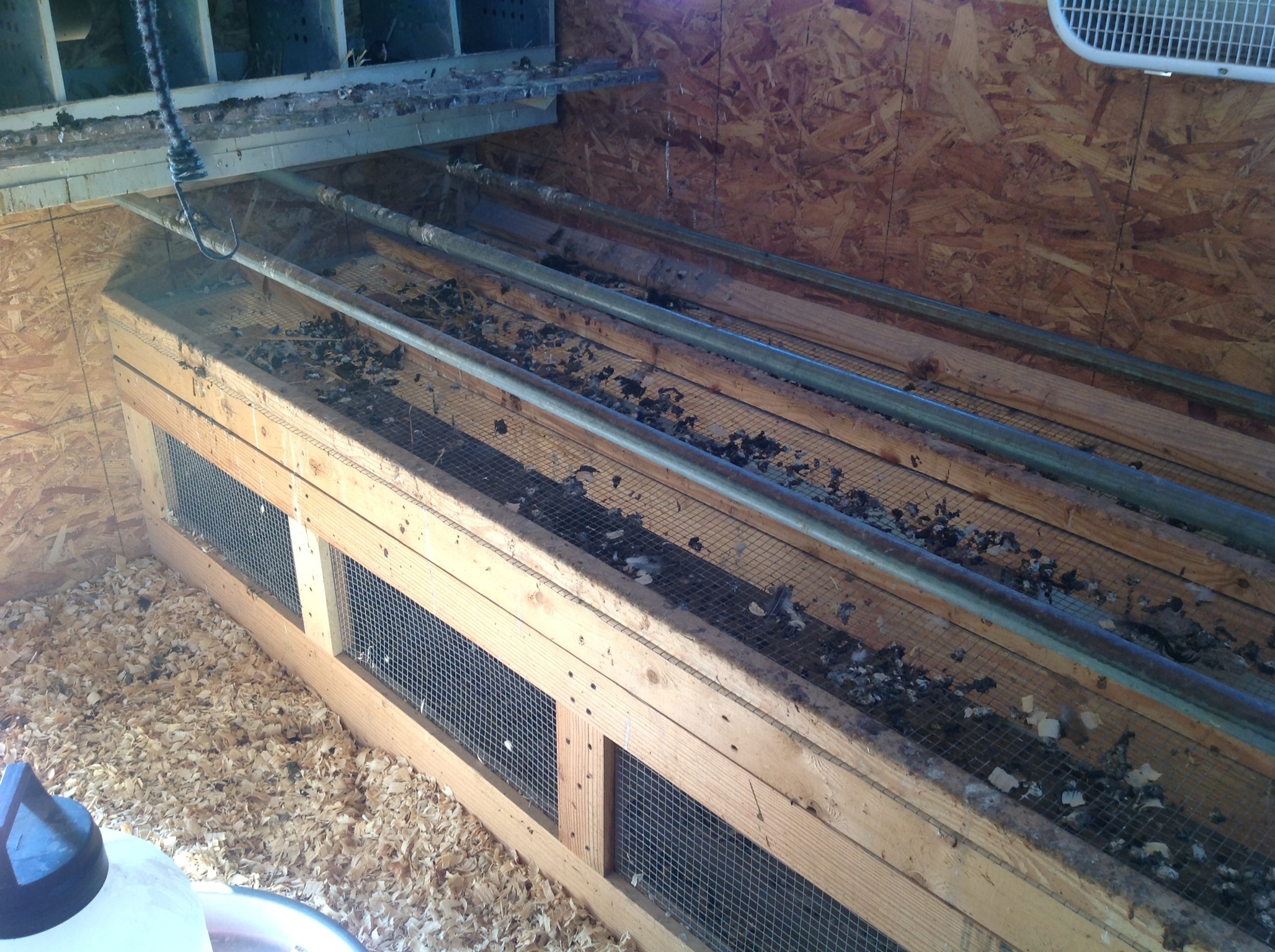 This is their roosting poles over the poop catch area.  This is accessed from outside to clean.