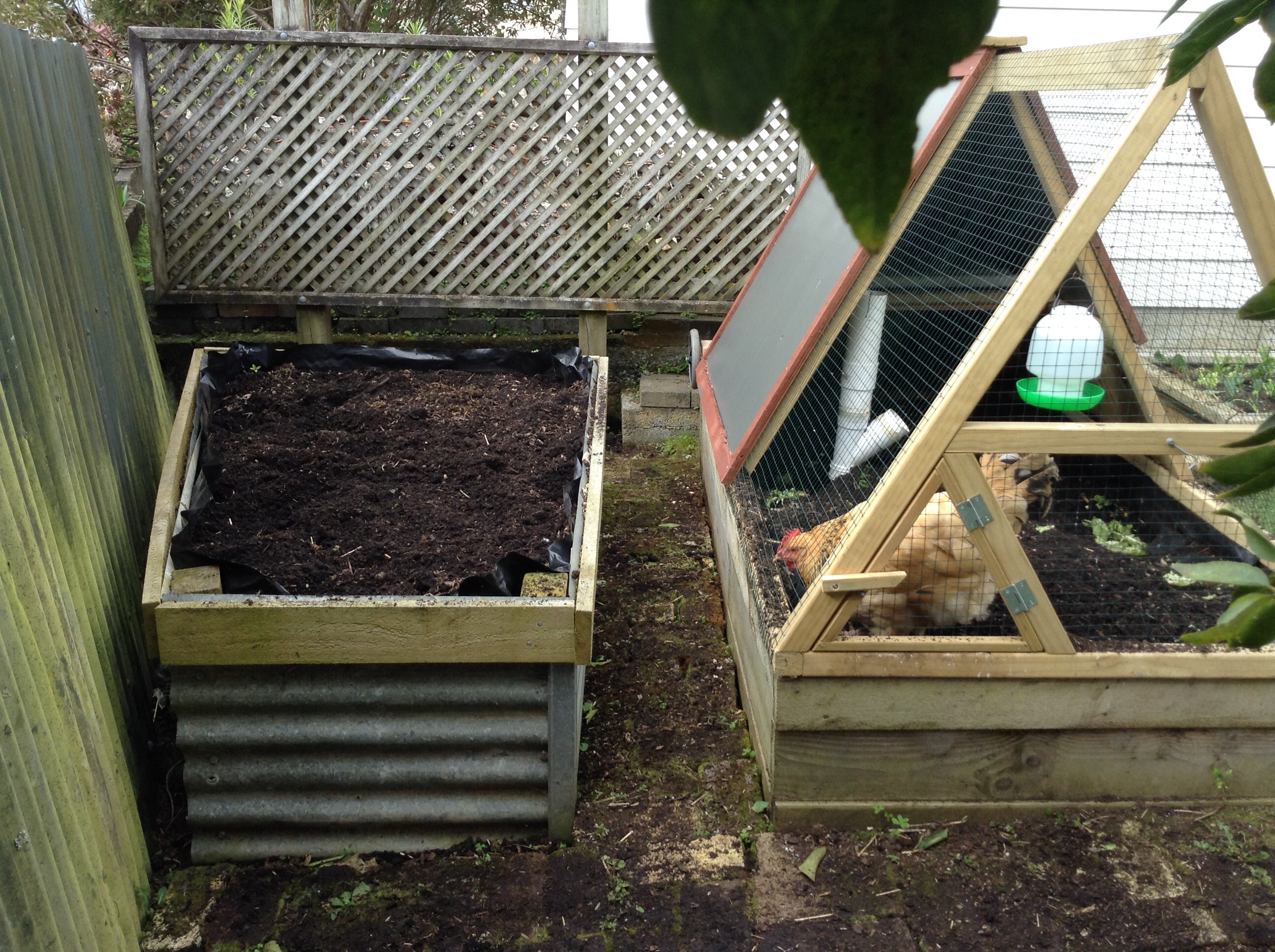 This is where our poor silly bird squeezed - in behind the planter box -  to lay her egg.  No wonder she got stuck!