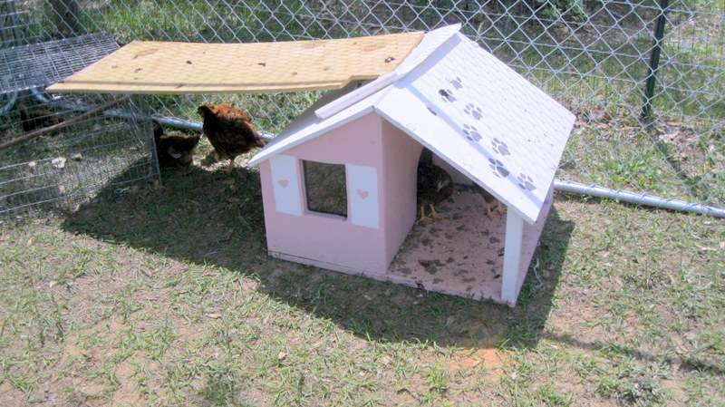 THIS IS WHERE THEY STAY WHILE BUILDIUNG THERE NEW PLACE
