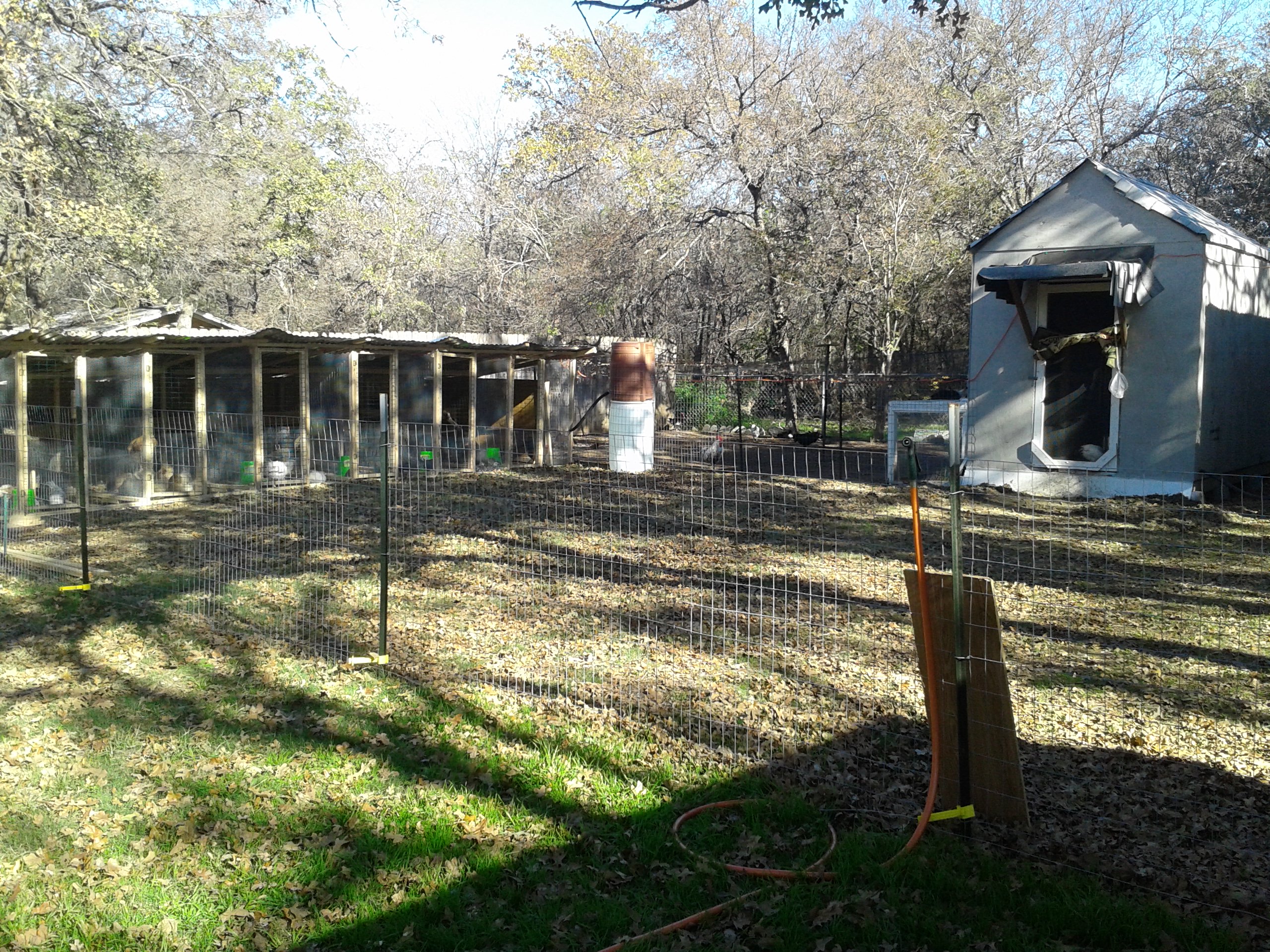 This my egg-layer coop and my new breeding pens. There are 7 breeding pens, that all measure 4x10ft.