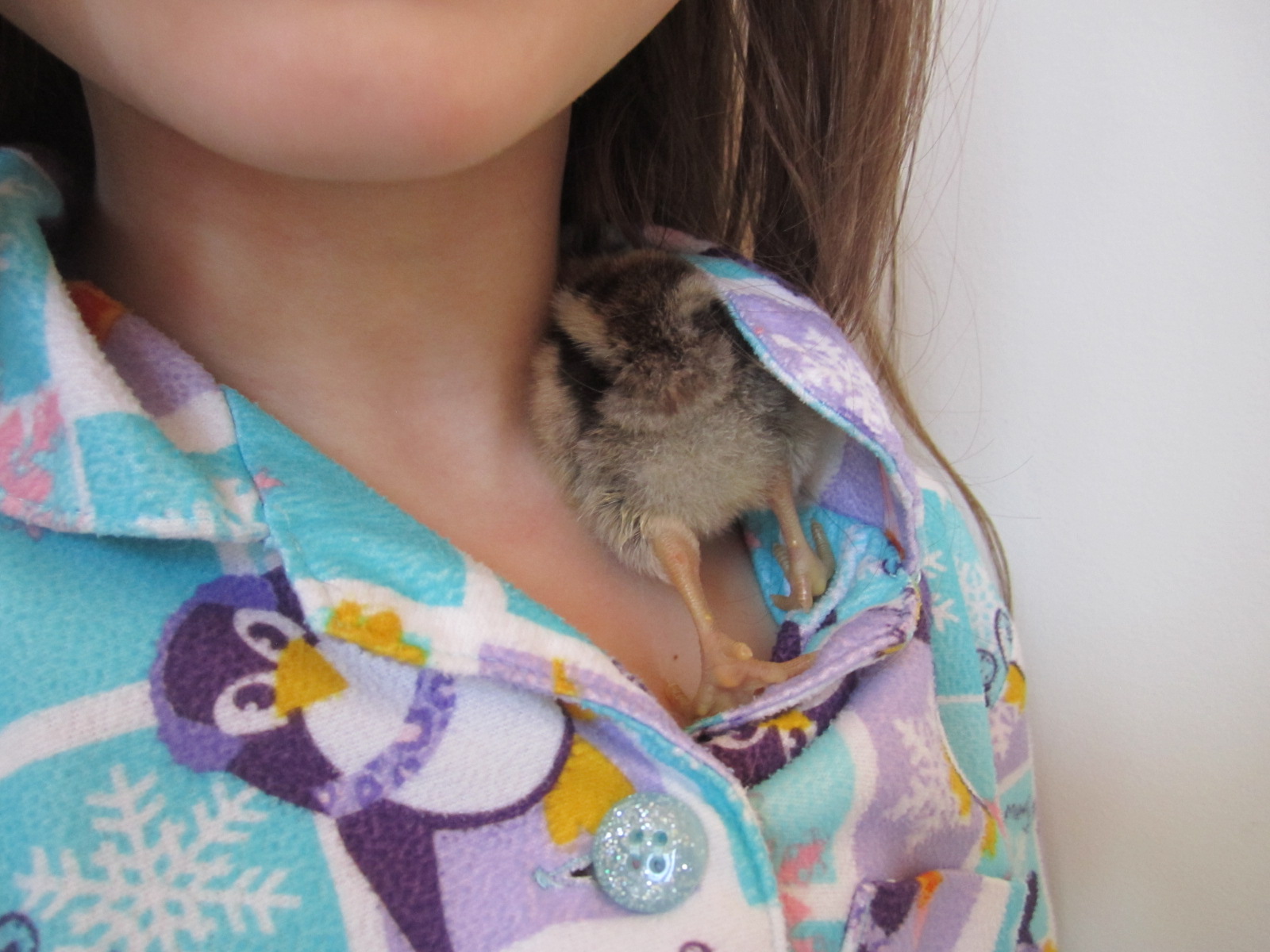 This one loves to cuddle.