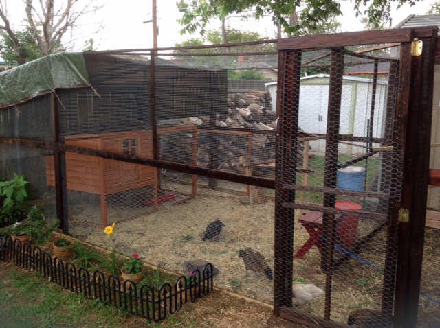 This pic shows how we joined the two runs and moved the screen door.