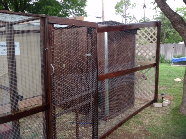 This pic shows the finished coop with the lattice work blocking the view. We put chicken wire on top as well.