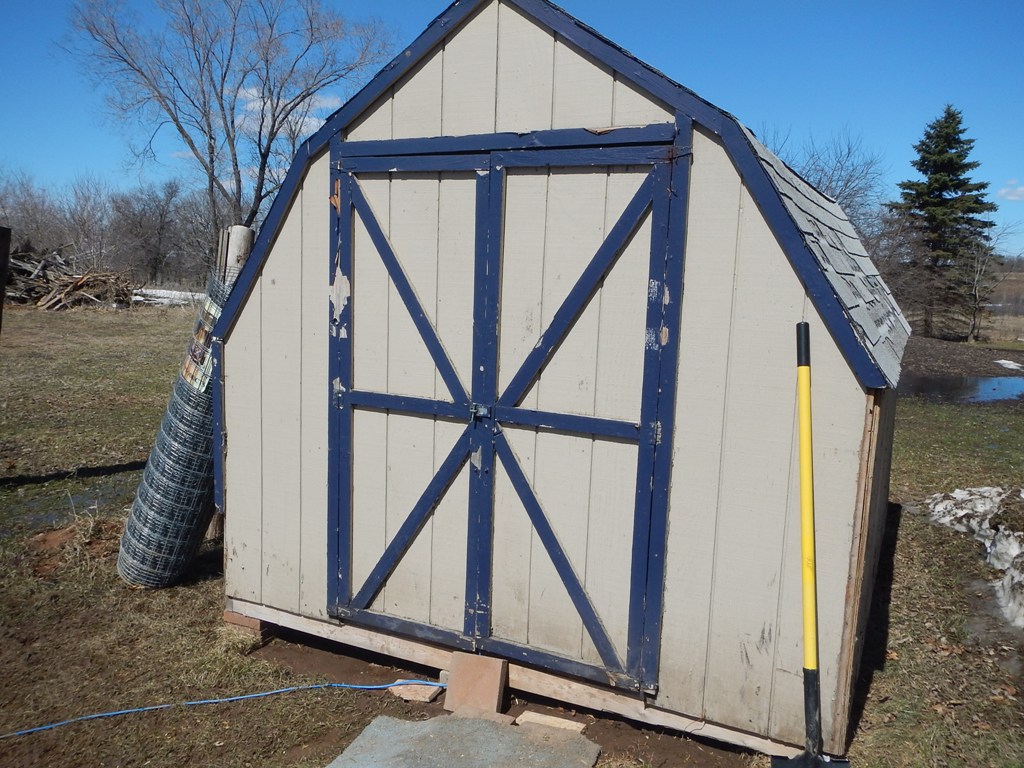 This shed we found on craigslist. It is 8 x 10 feet and has a big yard behind it that will be fenced.