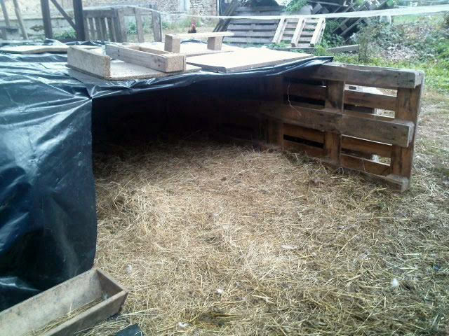 This shelter, left with a narrow space behind the large bails of straw and hay (covered here to protect them from rain and snow during the on-coming winter), has become a nesting place for one of the female Chinese geese.
