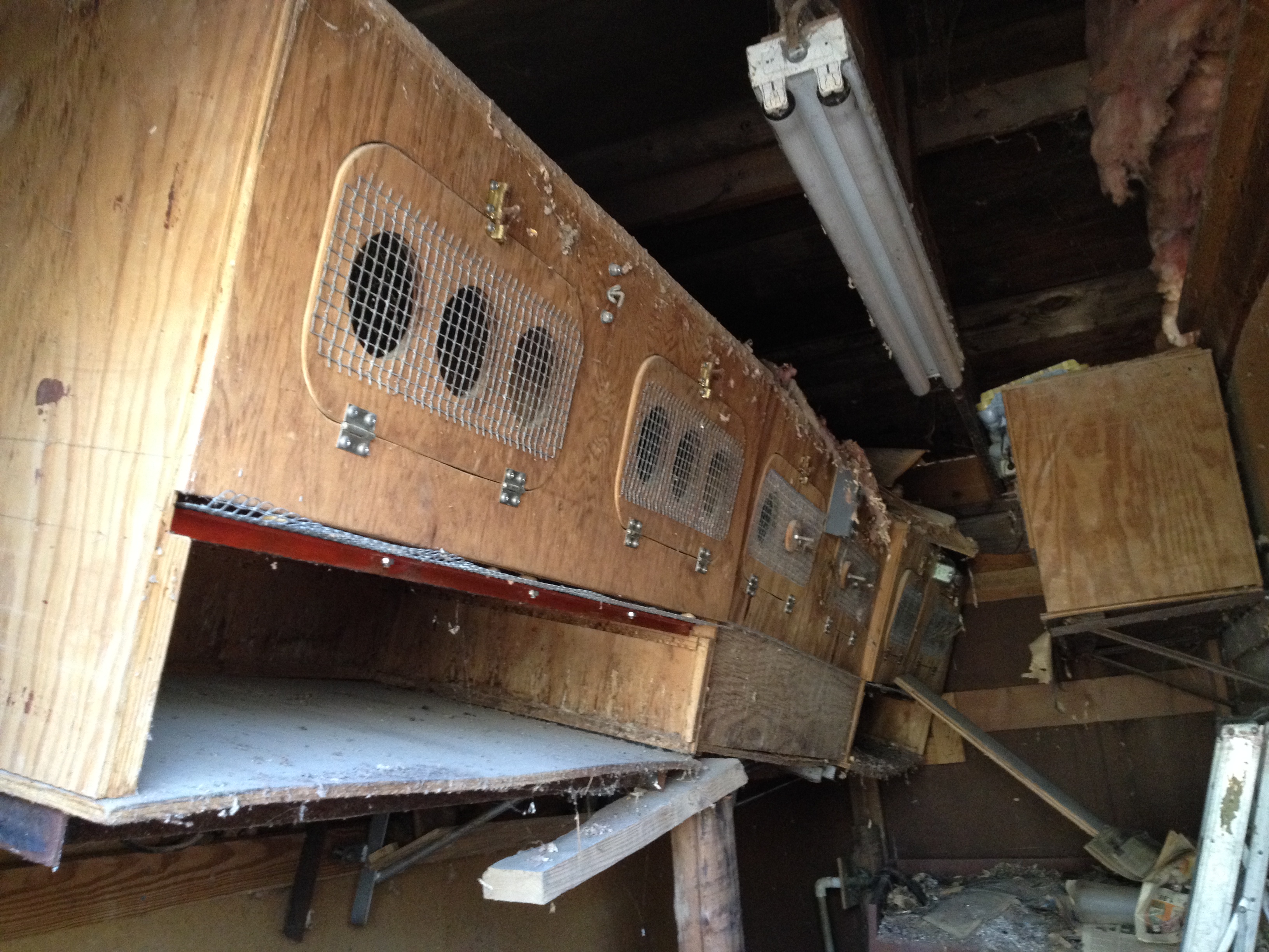 This structure began to fall away from the wall at some point in the past and it was shored up with the brace visible in the lower center of the photo. This room has not only florescent lights, but also a heat lamp. The "doors" on the front of the boxes open and can be latched. The empty area below the boxes may be a simple way to "clean" the boxes since the enclosed portion has a screen as a floor.

Does anyone have an idea? Is this an incubator, a special area of chicks, or something else entirely? It is located, not in the main coop, but in the secondary building.