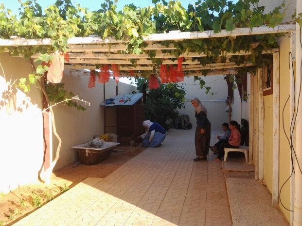 This wall is on east side of house so sun only midday when grapes not in bloom. From where daughter is kneeling I can build along that wall. Water and kitchen where kids sitting.
