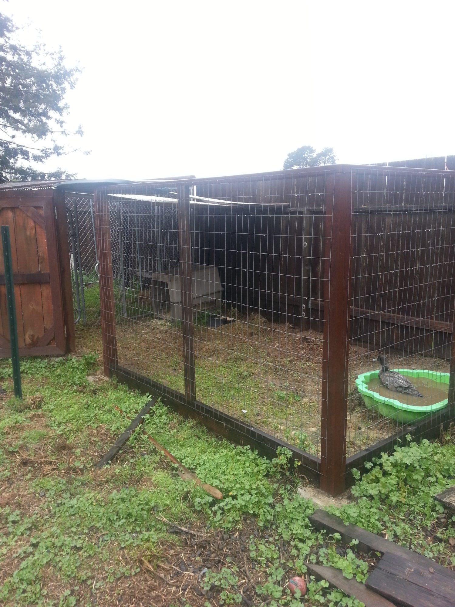 This was made for a dog we had to put down, it is about 8x12. The kennel you see was used, and was to be hers for out here. We were moving her since she barked and barked and barked and my (country living) neighbor complained she barked "all day" so we were going to move her. She got a tumor and we put her down....it has been vacant for about 2 years. Don't ever get a jack russel unless you plan to run marathons daily with the dog on a leash.