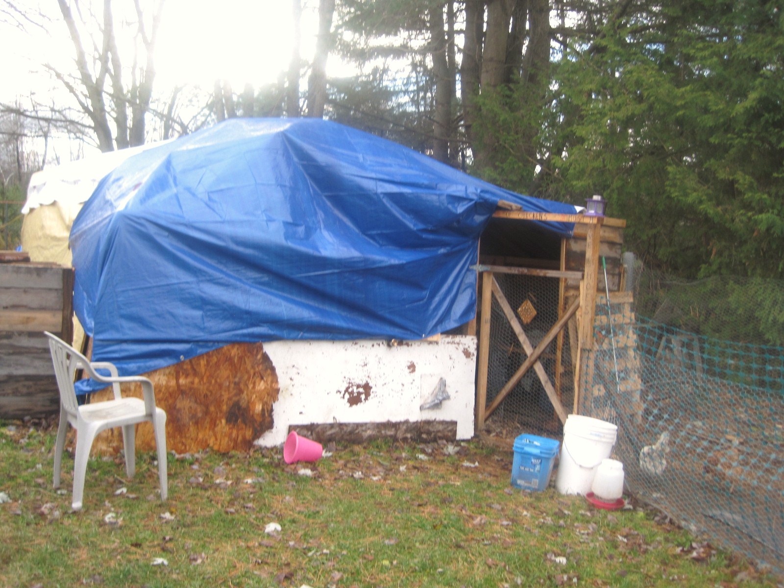 this was my car tent 12 by 20ft. we added it to the coop and covered both ends with tarps