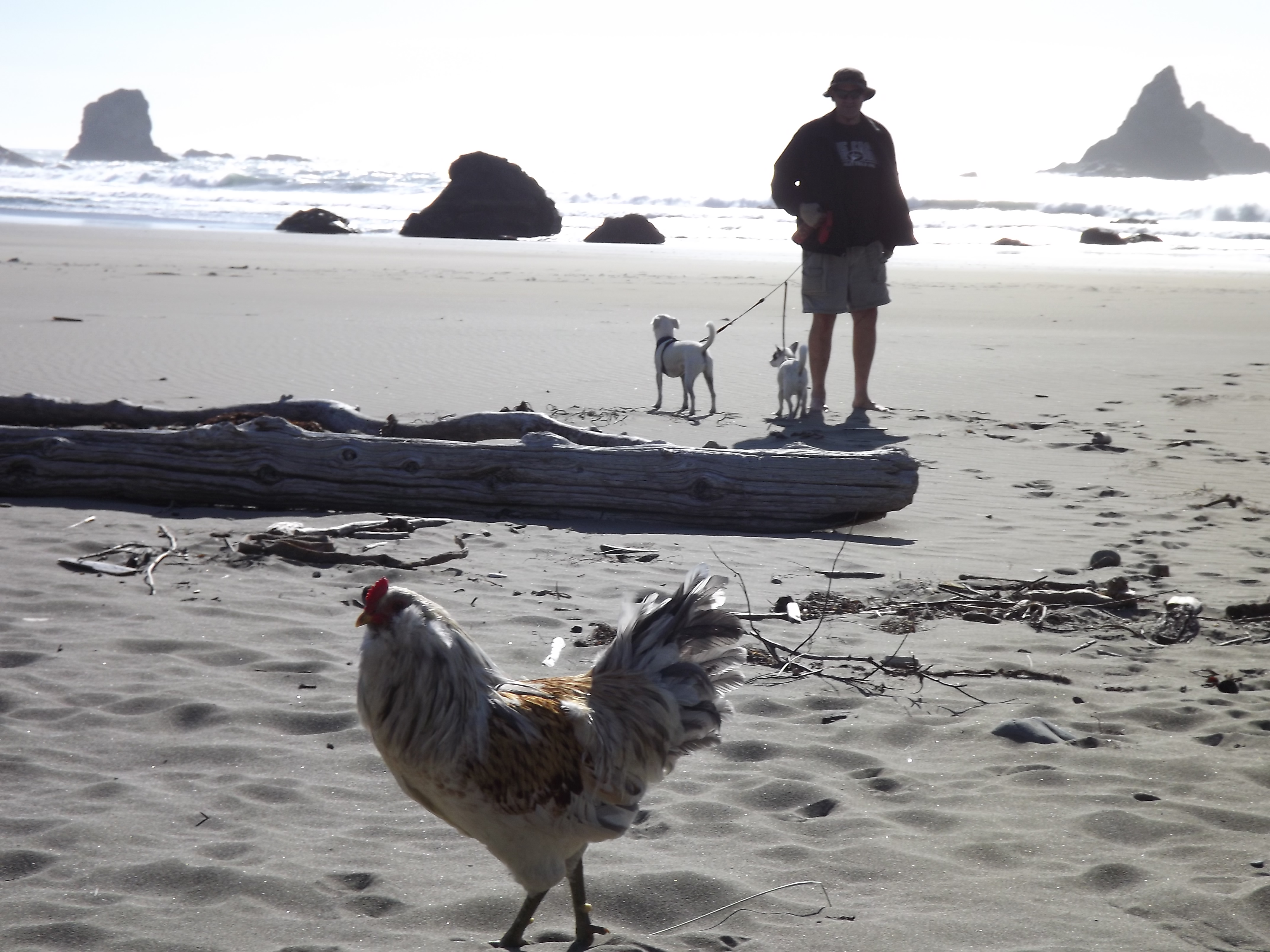 This was my first trip to the beach!