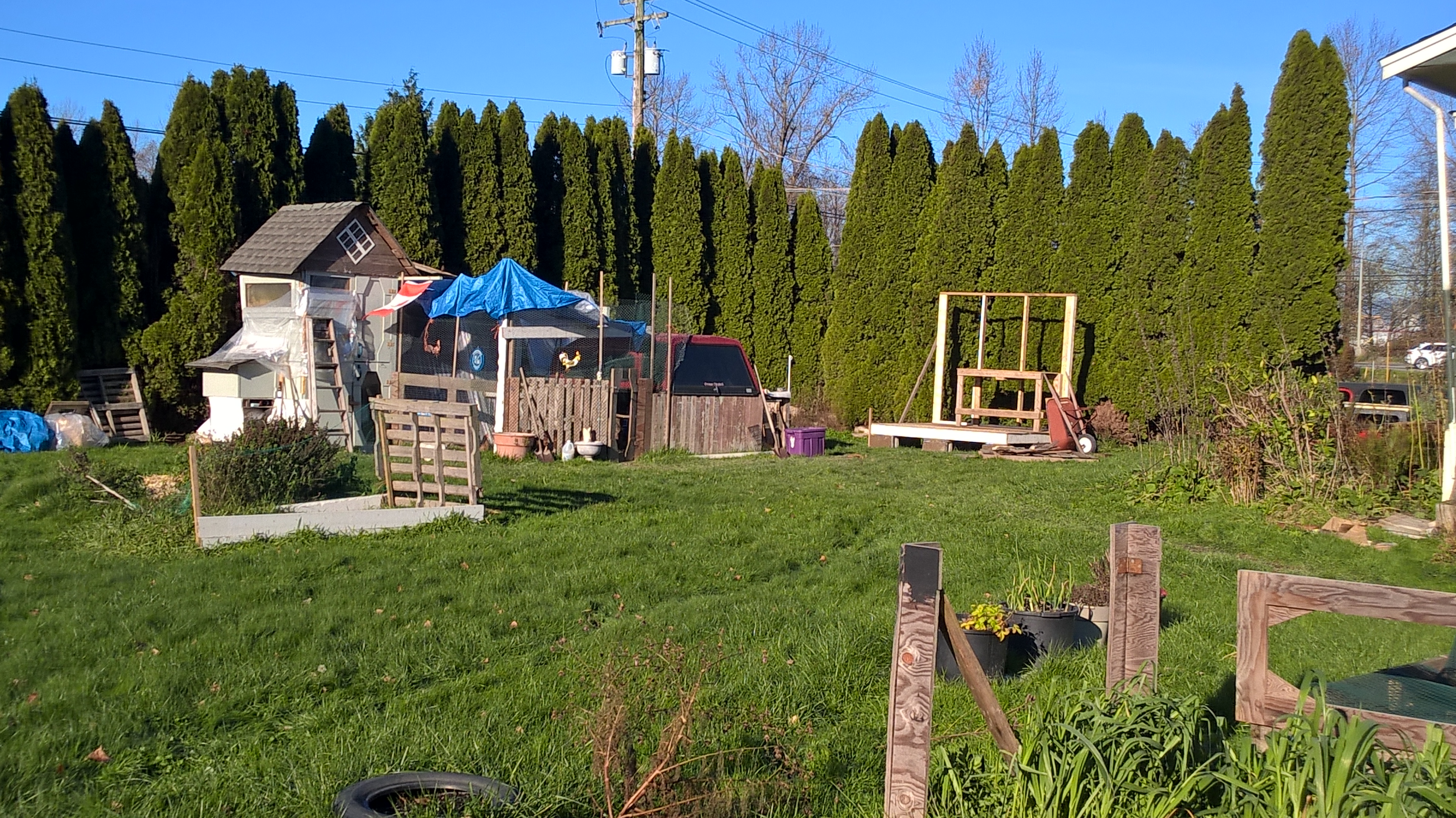 This was Nov 22/15.......the old coop has had too many crazy add ons.....and too many critters getting in....the girls are still safe, but will be much happier in the new and improved coop