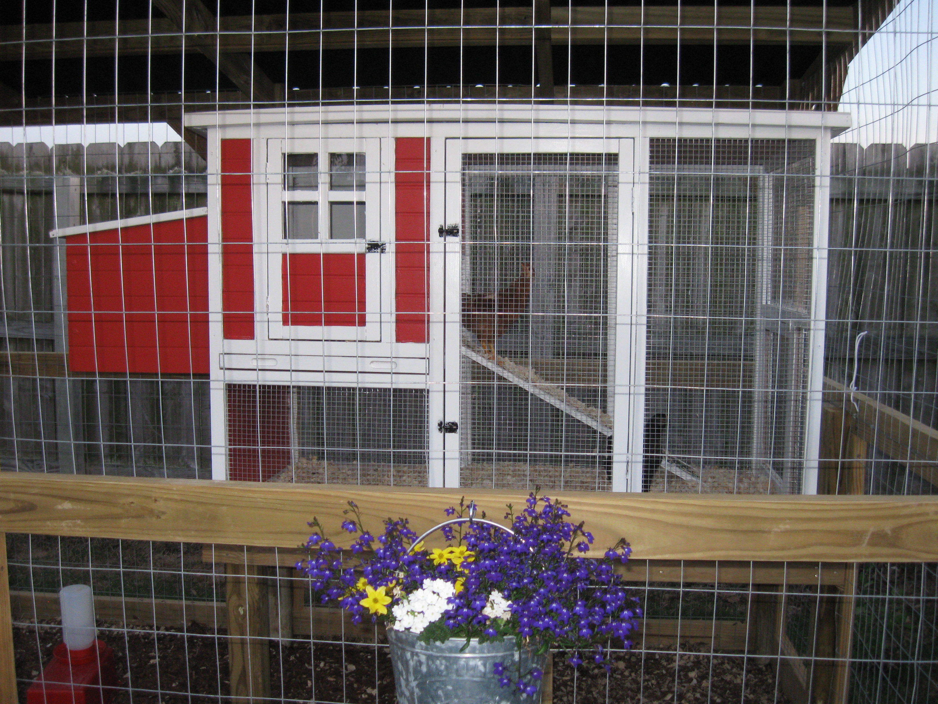 This was our original coop for our 4 girls. There was plenty of room for everyone, until everyone grew up and wanted their own spot on the roost. It also did not have proper ventilation. So we expanded !