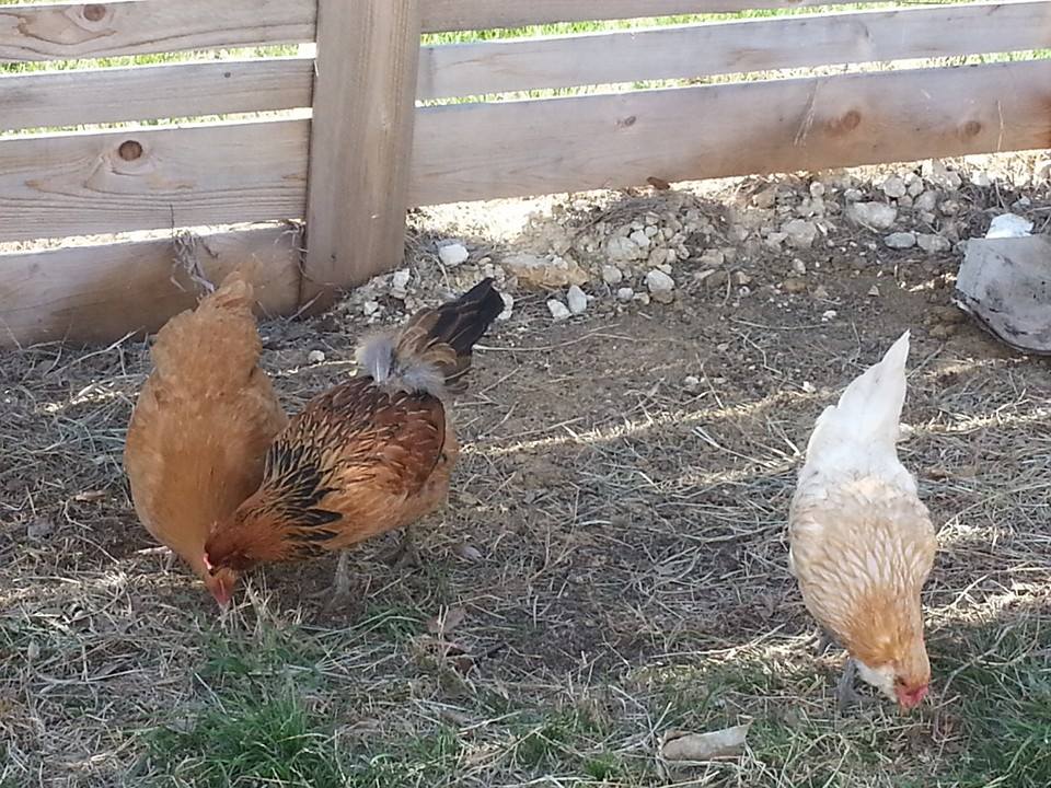 this was their first day home