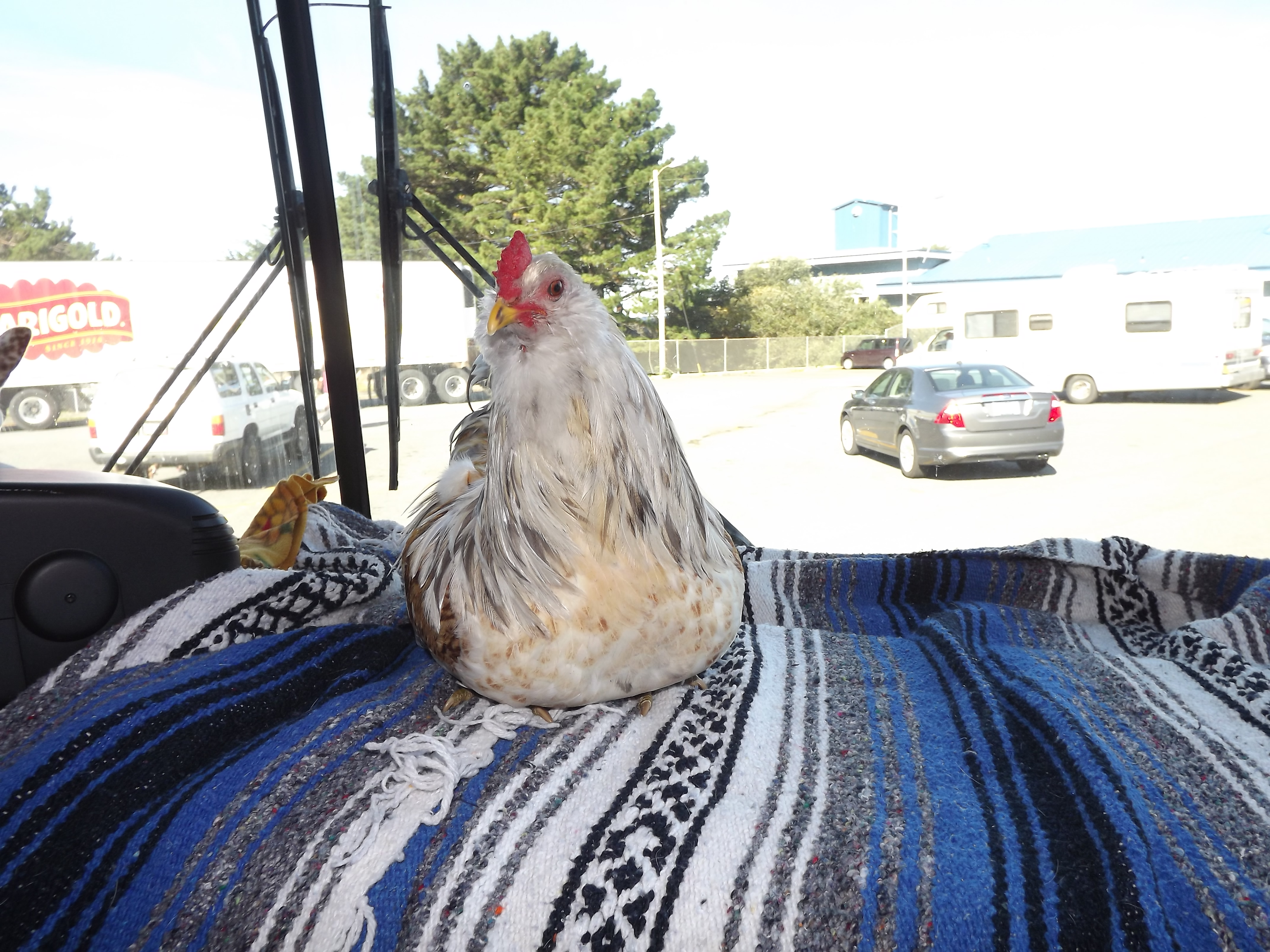 This where I like to sit in the motor home.