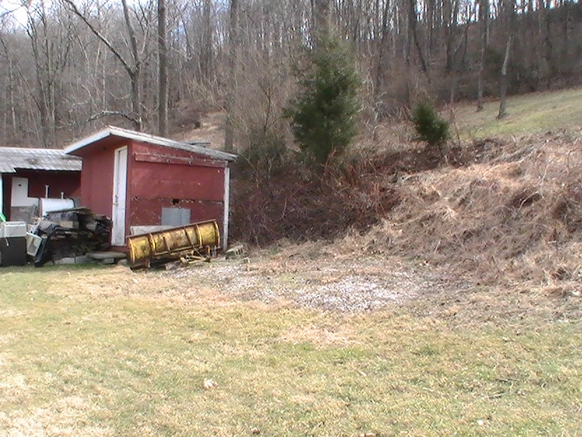 this will all be fenced in as a pen