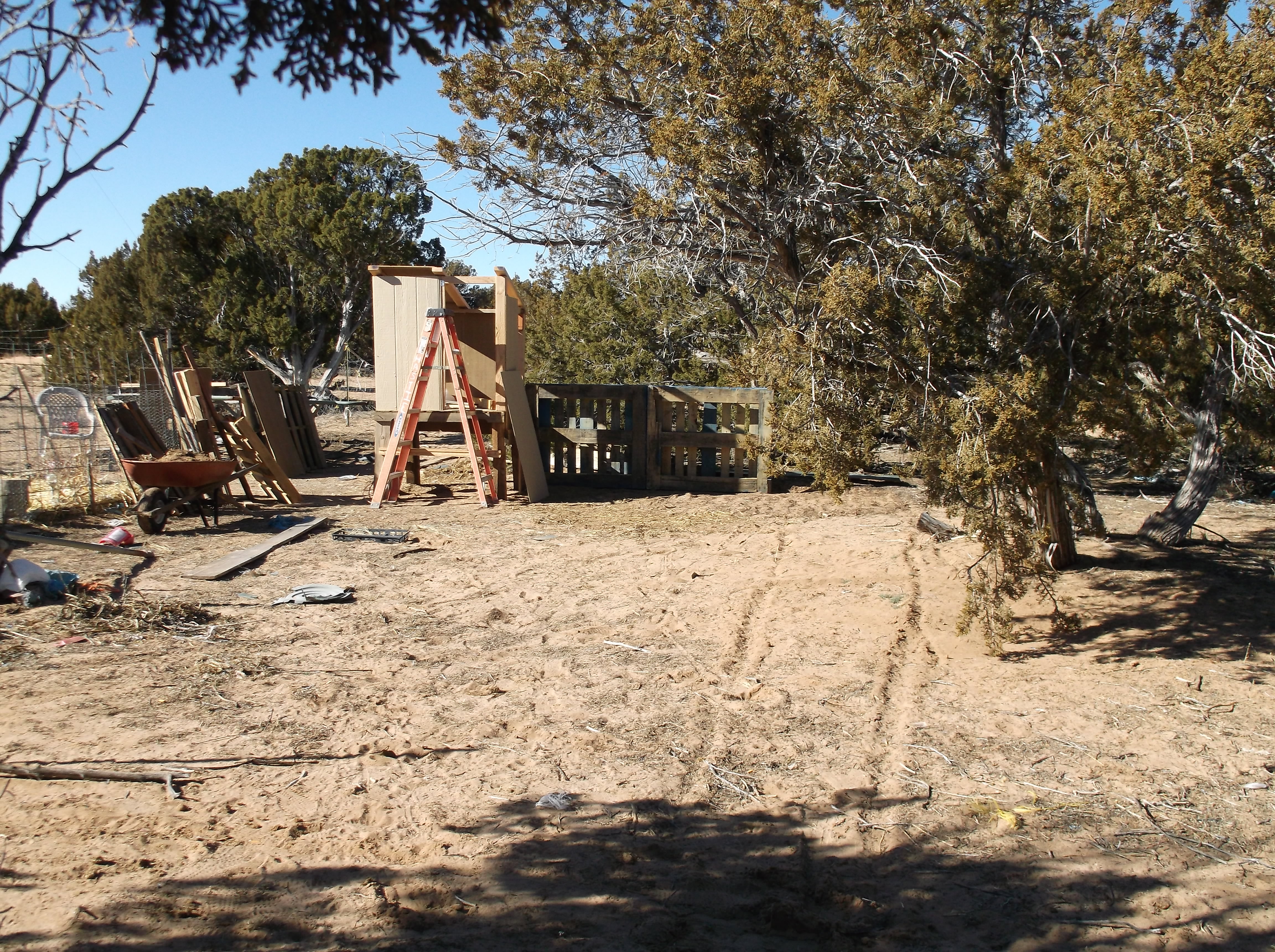 this will be the run area, and new coop area.