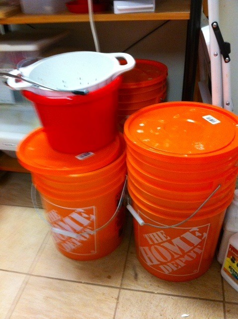 Three fermenting buckets and a small bucket to carry feed to chickens